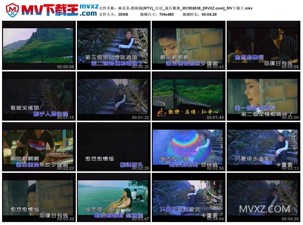 林美美-想袂晓(MTV)_台语_流行歌曲_MC502638